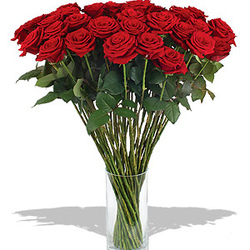 Красный букет из 51 алой розы «Признание»