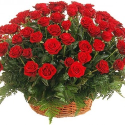 65 красных роз в корзине «Алые паруса»