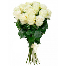 Букет из белых 17 роз «Единственной»