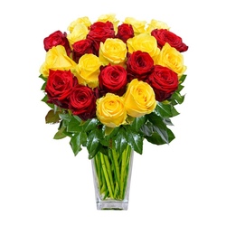 Роза красная + желтая Эквадор