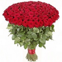 Букет из 101 красной розы(голландской)