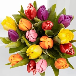 Весенний букет из тюльпанов «Надежда»