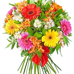 Букет цветов «Солнечный день»